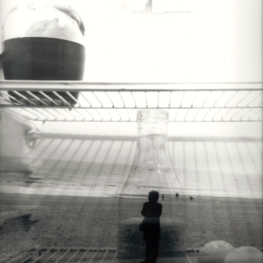 double exp karen refrigerator 1